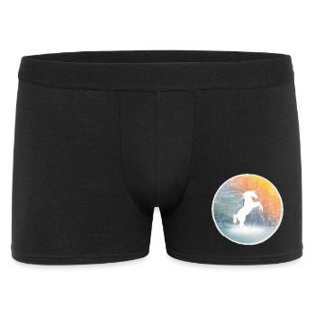 Mystical unicorn in the enchanted forest - Men's Boxer Shorts - black - Front