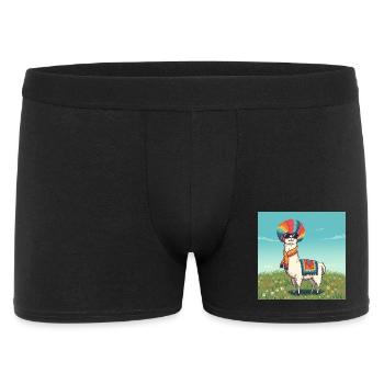 Funky Rainbow Llama - Men's Boxer Shorts - black - Front