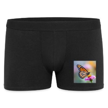 Papillon monarque sur Verbena Macro - Boxer Homme - noir - Devant