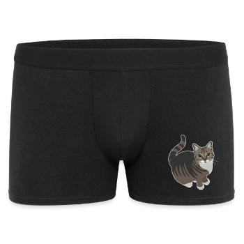 getigerte Katze mit weißen Pfoten - Männer Boxer Shorts - Schwarz - Vorne