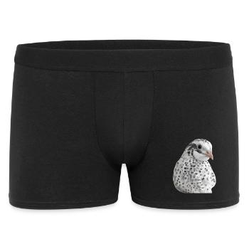 Snow Quail Portrait - Men's Boxer Shorts - black - Front