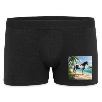An Abaco Barbe horse and a Bahamian landscape - Men's Boxer Shorts - black - Front