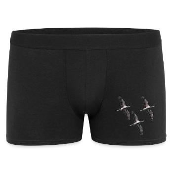 Grues migratrices d’oiseaux dans les tons de gris - Boxer Homme - noir - Devant