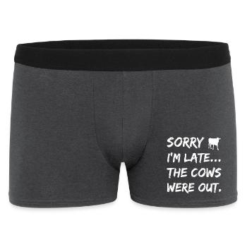 Cow Cows - Men's Boxer Shorts - charcoal grey - Front