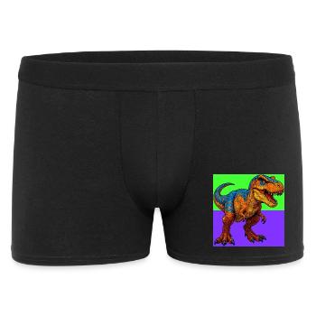 dinosaure - Boxer Homme - noir - Devant