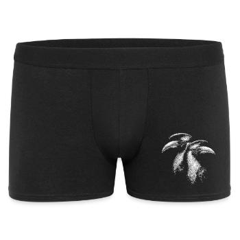 Calaos - Boxer Homme - noir - Devant