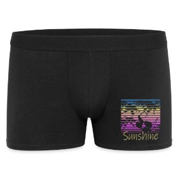 Sunshine Retro Sunglasses - Boxer Homme - noir - Devant