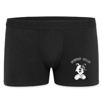 Abenteuerlustiger Border Collie - Männer Boxer Shorts - Schwarz - Vorne