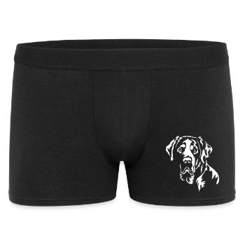 Grande tête de chien de montagne suisse « Black Edition » - Boxer Homme - noir - Devant