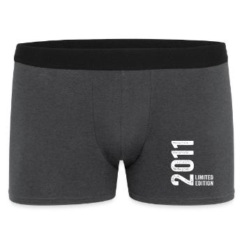 2011 15th Anniversary Limited Edition - Men's Boxer Shorts - charcoal grey - Front