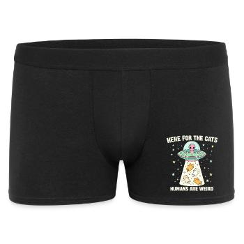 Ici pour les chats – Les humains sont bizarres - Boxer Homme - noir - Devant