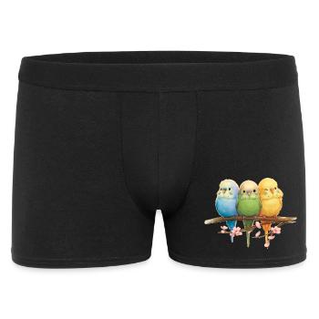 Funny budgies - Men's Boxer Shorts - black - Front
