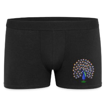 Colorful peacock feather illustration - Men's Boxer Shorts - black - Front