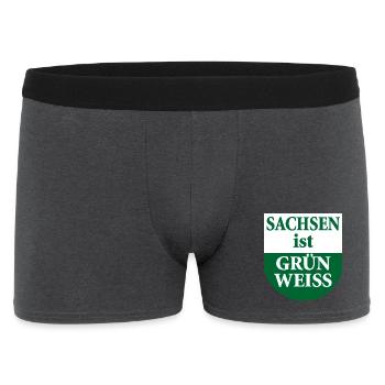 Saxony is green white state flag - Men's Boxer Shorts - charcoal grey - Front