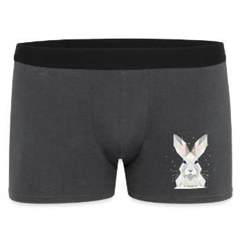 White Snow Hare-Timeless Elegance of Winter - Men's Boxer Shorts - charcoal grey - Front