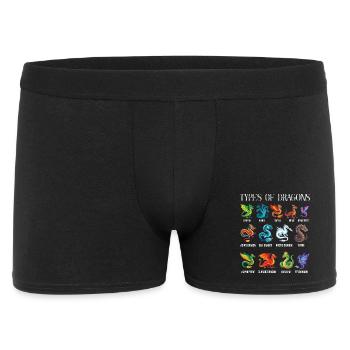 Types Of Dragons Lover Fantasy - Men's Boxer Shorts - black - Front