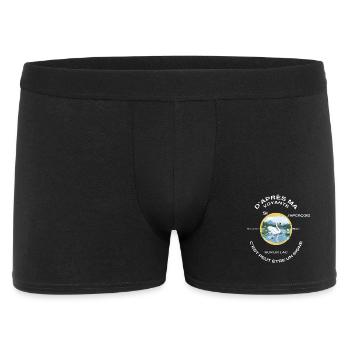 Cygne sur lac doré rond - Boxer Homme - noir - Devant