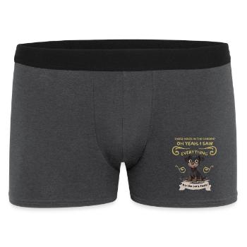 Chiot éclaboussé de boue : Défaut du chat - Boxer Homme - charbon - Devant