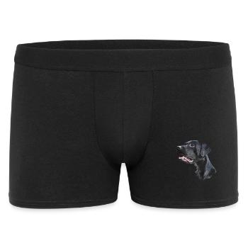 Labrador - Boxer Homme - noir - Devant