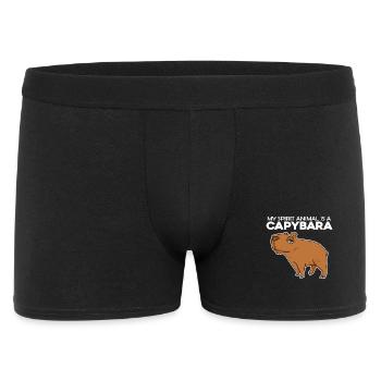 Capybara Wasserschwein - Boxer Homme - noir - Devant