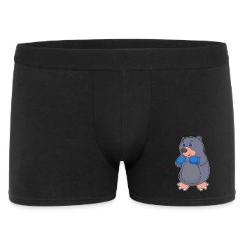 Boxeur Mole Boxer Gants de boxe Boxe Boxe - Boxer Homme - noir - Devant