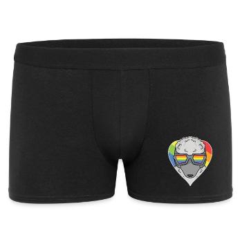 Rainbow - Dog with glasses - Poodle - Men's Boxer Shorts - black - Front