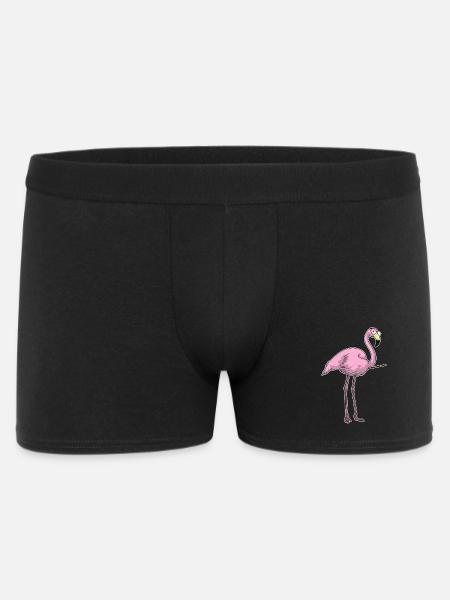 Flamingo Teacher Pointing Stick School - Men's Boxer Shorts - black
