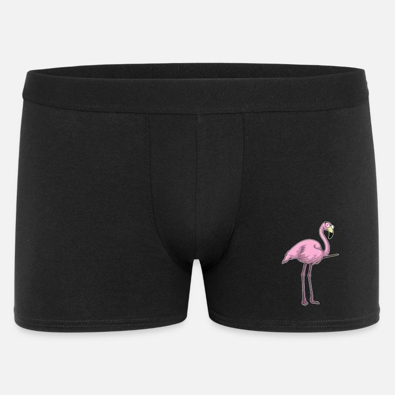 Flamingo Lehrer Pointer - Männer Boxer Shorts - Schwarz