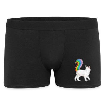 Katze Regenbogen - Männer Boxer Shorts - Schwarz - Vorne