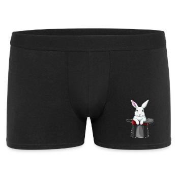 Chapeau haut de forme Bunny Wizard - Boxer Homme - noir - Devant