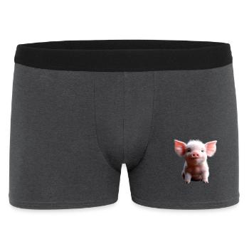 Pig Domestic Pig Pig Piglet Piggy - Men's Boxer Shorts - charcoal grey - Front