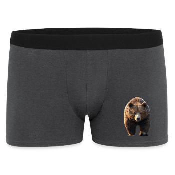 Brown Bear, Grizzly Bear, Bear Brothers, Dad, Wild Bears - Men's Boxer Shorts - charcoal grey - Front