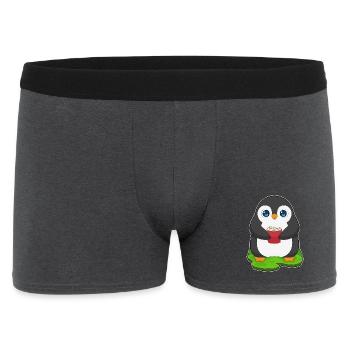 Pop-corn pingouin - Boxer Homme - charbon - Devant