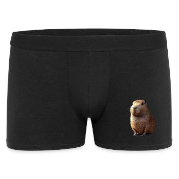 Capybara Be Capy Capybara Drôle Capybara - Boxer Homme - noir - Devant