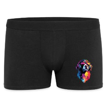 Bouvier bernois Chiens mignons Bouvier suisse - Boxer Homme - noir - Devant