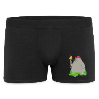 Torche taupe - Boxer Homme - noir - Devant