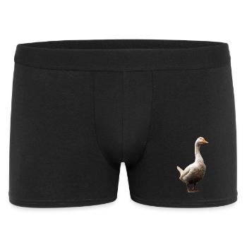 Oie mignon oie poussins Oie poussin canard petites oies - Boxer Homme - noir - Devant