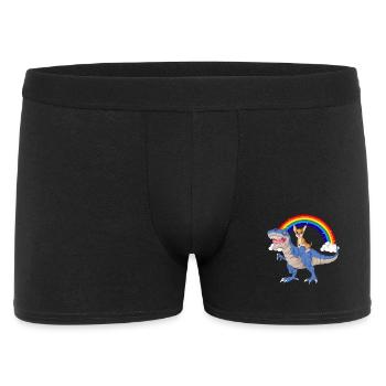 Cute Chihuahua Riding Dinosaur Rainbow Cartoon - Men's Boxer Shorts - black - Front