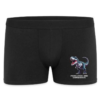 Verpixelt und gefährlich | Dinosaurier - Men's Boxer Shorts - black - Front