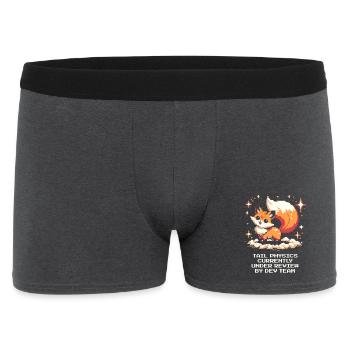 Schwanzphysik wird geprüft | Fuchs, Dev-Team - Männer Boxer Shorts - Anthrazit - Vorne