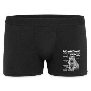 T britannique à cheveux court | Chats britanniques à poil court - Boxer Homme - noir - Devant