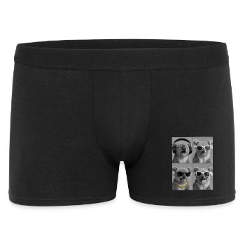Koala - Männer Boxer Shorts - Schwarz - Vorne