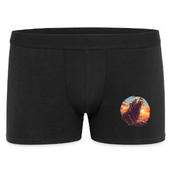 Lions de mer Lion de mer - Boxer Homme - noir - Devant