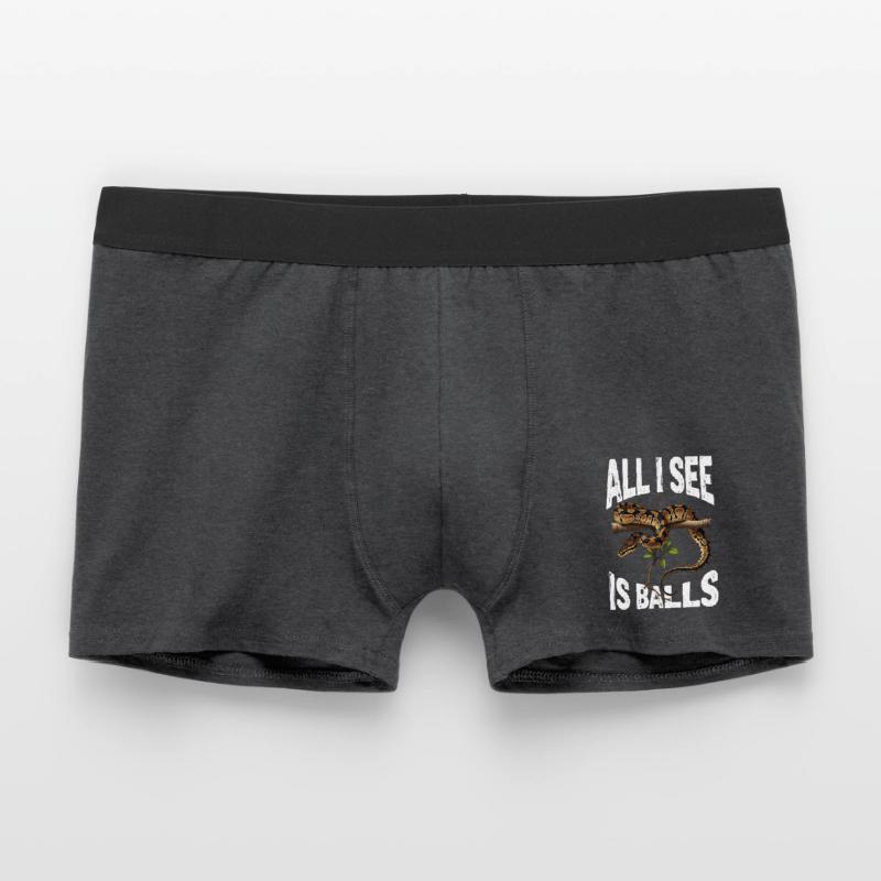 Python roi Serpents Amateurs de terrarium Python Boxer Homme