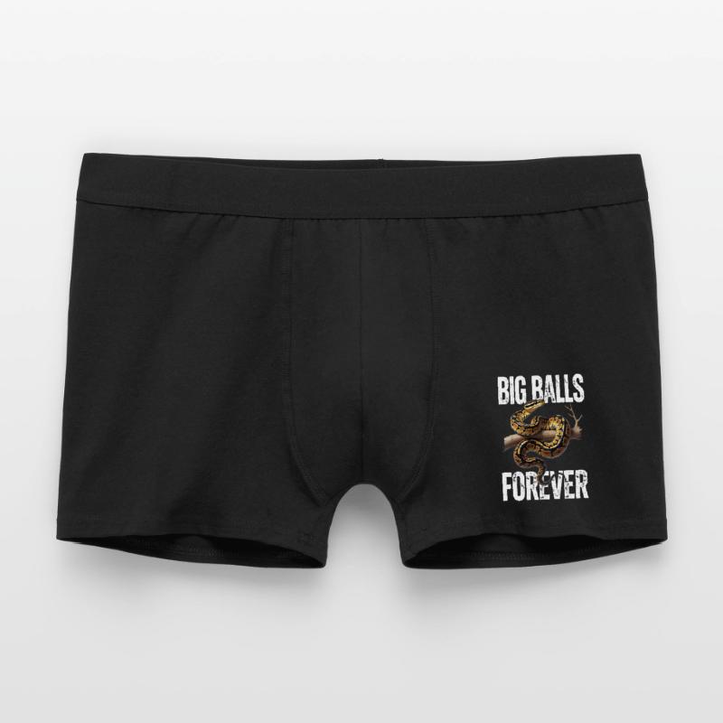 Python roi Serpents Amateurs de terrarium Python Boxer Homme