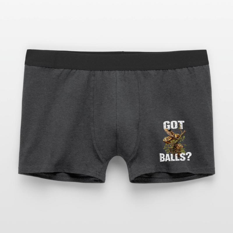 Python roi Serpents Amateurs de terrarium Python Boxer Homme