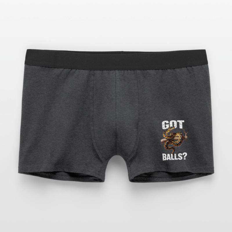 Königspython Schlangen Liebhaber Terrarium Python Männer Boxer Shorts