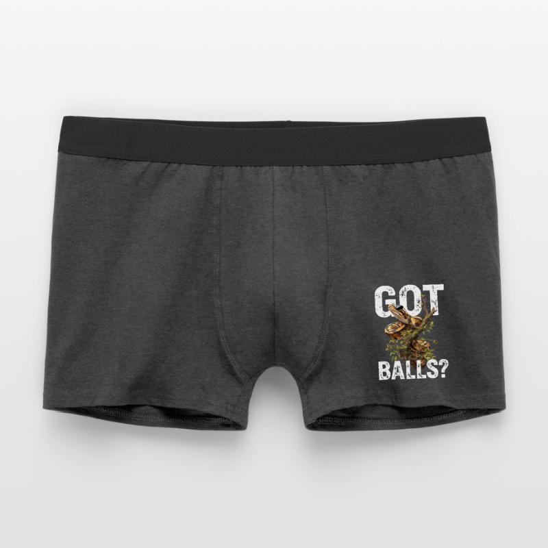 Königspython Schlangen Liebhaber Terrarium Python Männer Boxer Shorts