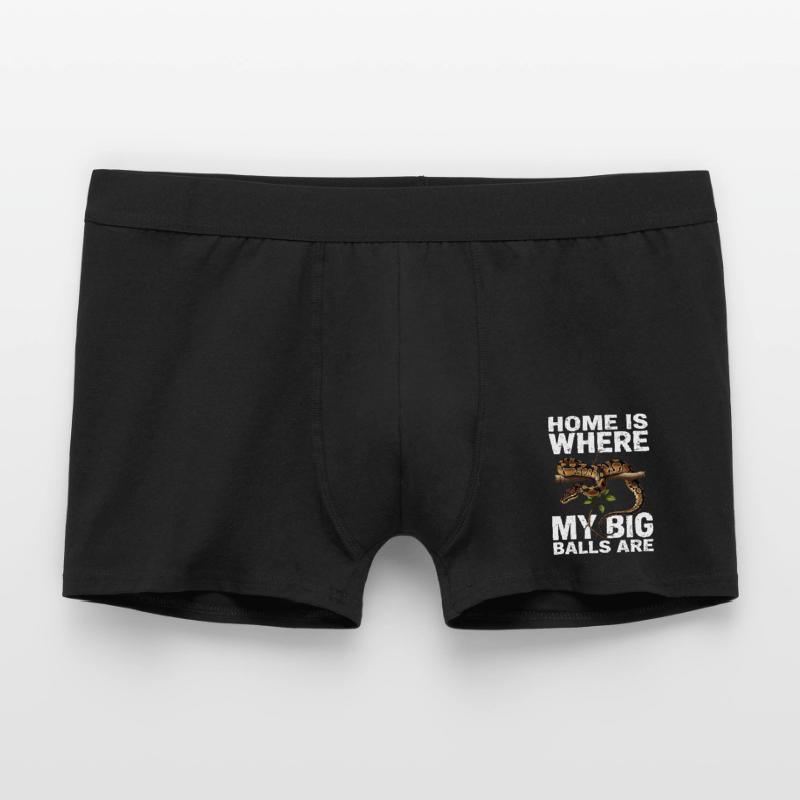 Python roi Serpents Amateurs de terrarium Python Boxer Homme