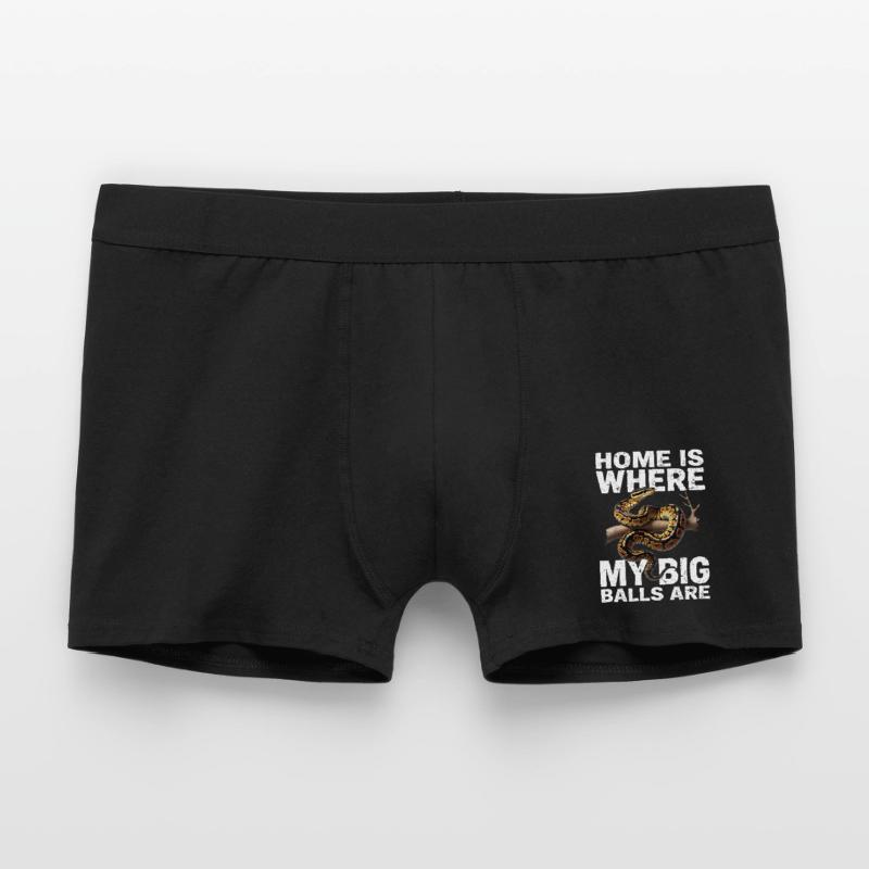 Python roi Serpents Amateurs de terrarium Python Boxer Homme